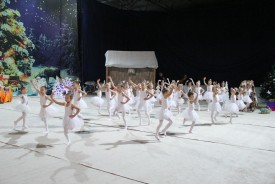 Волгодонские гимнастки показали сказку «12 месяцев»
